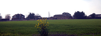 Bellows Mill see from Harling Road March 2012